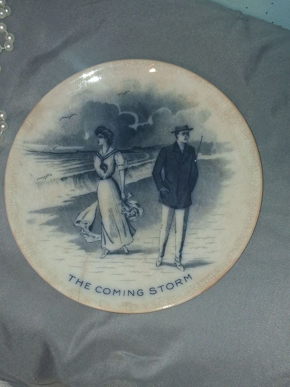 The Coming Storm Decorative Blue and White Collector Plate